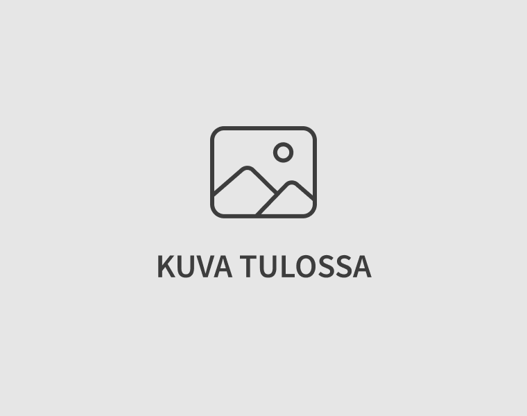 7021685 PA/SUV vannetyö + tasapainotus kuva